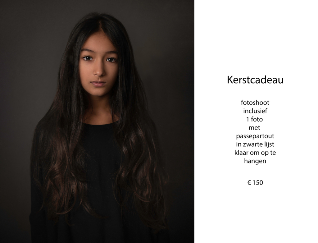 kerstaanbieding 2018 kerst cadeau kado hilde van der sterren portretten